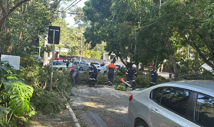Defesa Civil de Cotia atua em regime de contingência após passagem de ciclone
