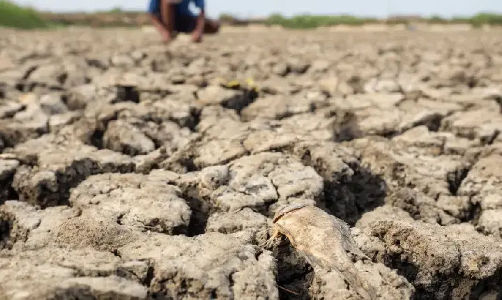 Efeitos do El Niño no Brasil vão além dos alimentos e devem atingir energia, transportes e varejo