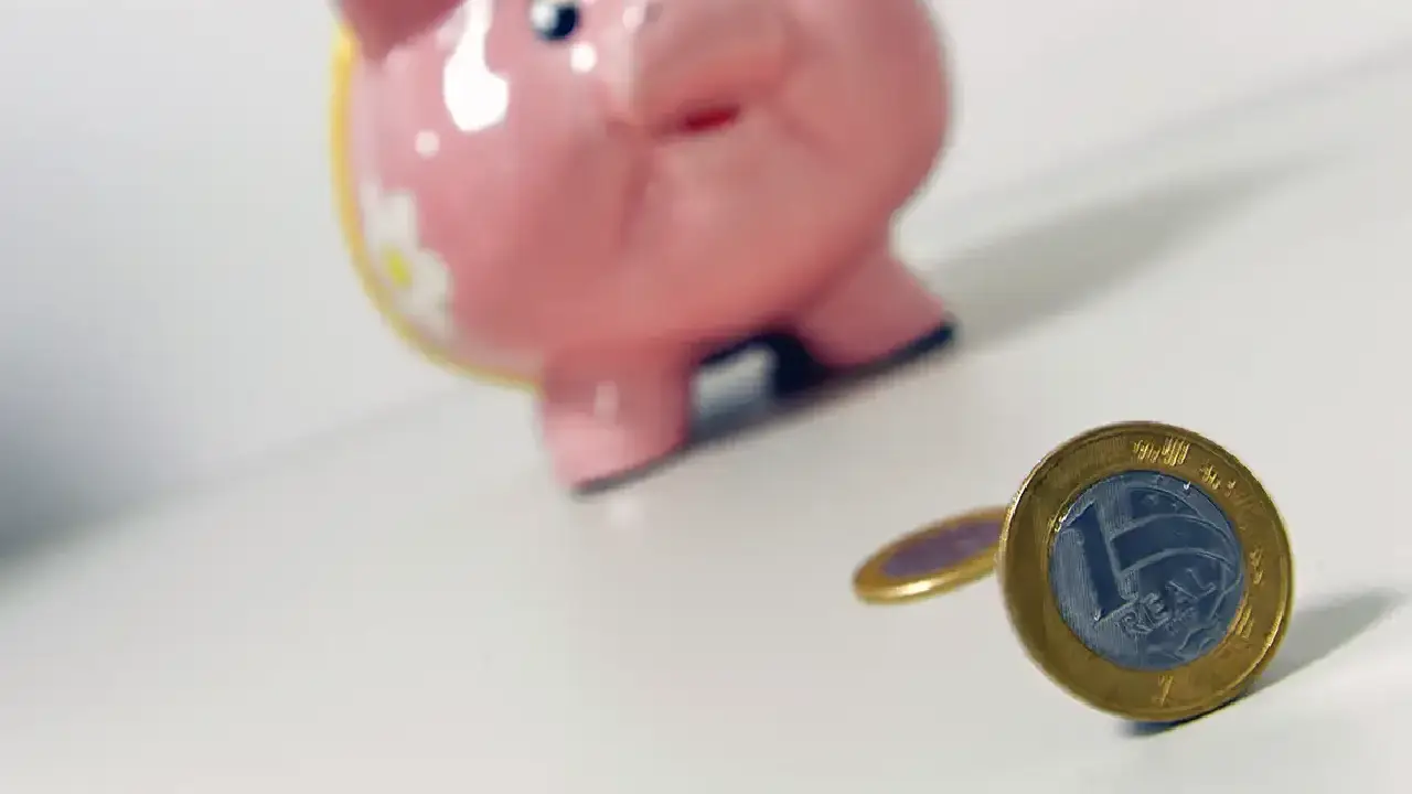 Entenda como funciona investir no Tesouro Reserva