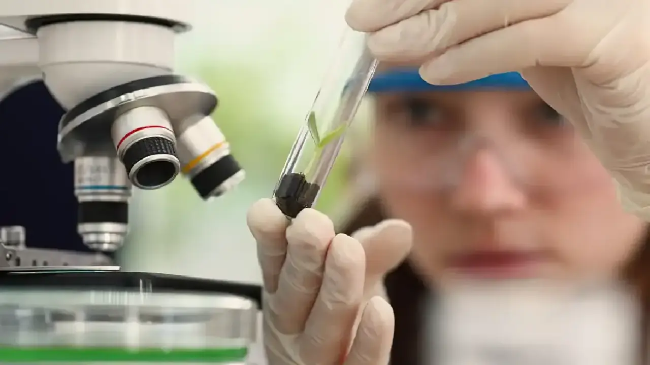 Imersão científica leva alunas e professoras a centros tecnológicos