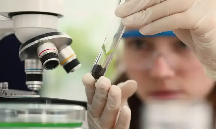 Imersão científica leva alunas e professoras a centros tecnológicos
