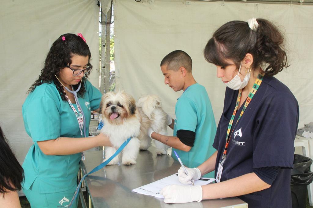 Barueri; Dia Animal acontece neste final de semana
