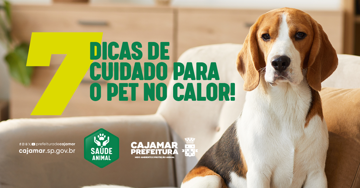 Programa Saúde Animal de Cajamar faz um alerta de cuidados no calor