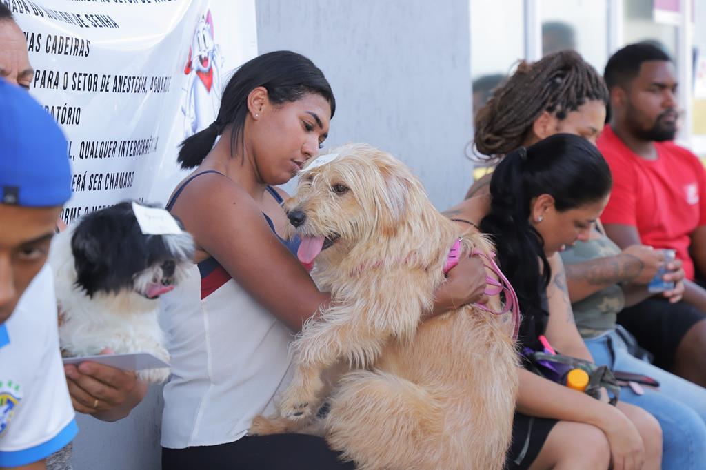 Castração gratuita de pets: agendamento será no dia 10 de janeiro