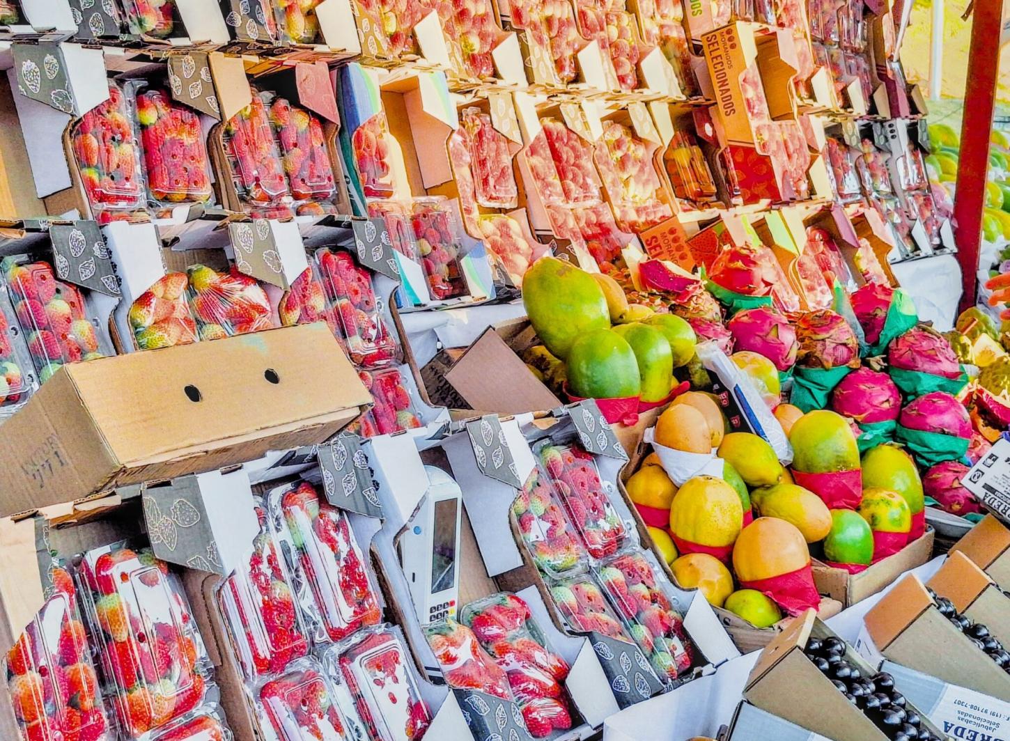 EcoFeira Granja Viana terá ‘Versão de Inverno’ no Parque Jequitibá